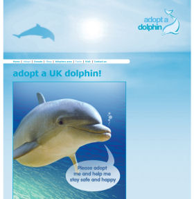 adopt a dolphin  and name it